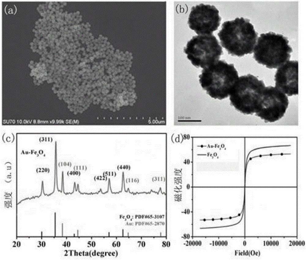 Mercury ion fluorescence detection nano probe preparation and application thereof