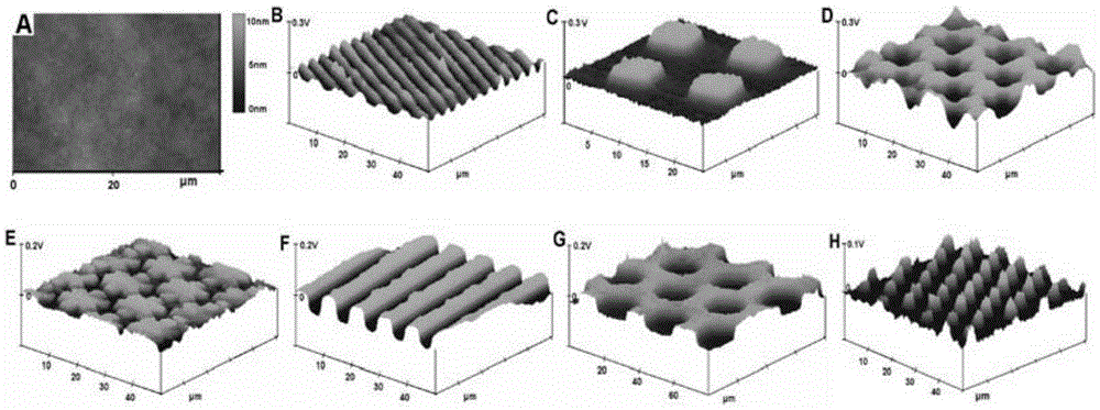 Research method for relaxation phenomenon of polymer via patterned charge mark