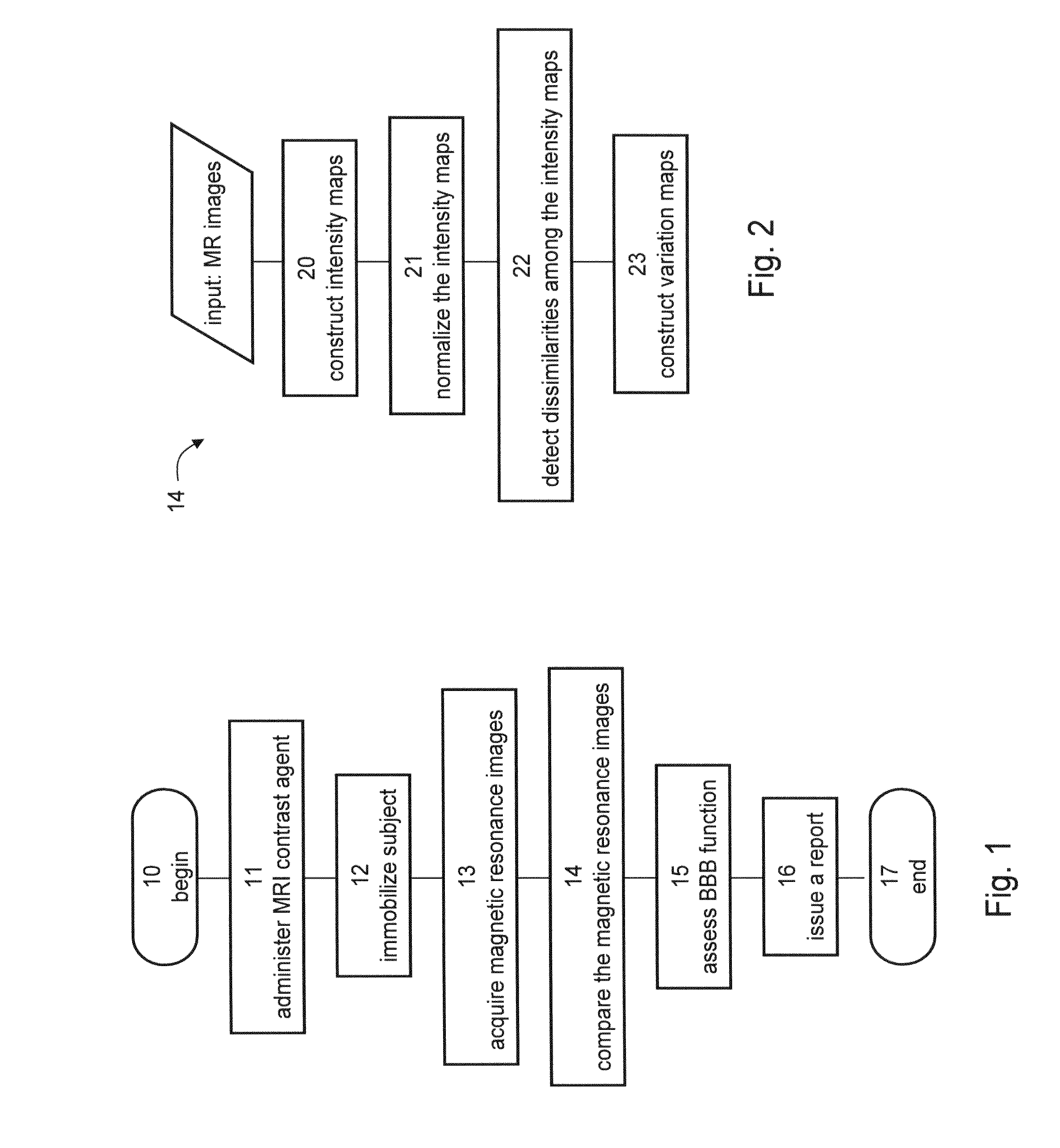 Assessment of blood-brain barrier disruption