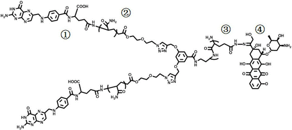 Preparation method of adriamycin polymer drug