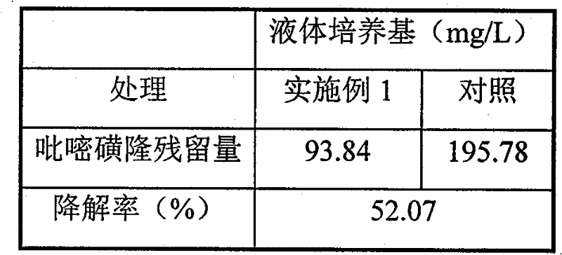 Rhodopseudomonas spheroides strain and liquid inoculant thereof as well as preparation method and application thereof