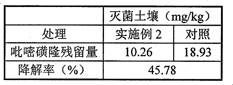 Rhodopseudomonas spheroides strain and liquid inoculant thereof as well as preparation method and application thereof