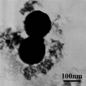 Magnetic fluorescent composite nanometer biological probe and preparation method thereof