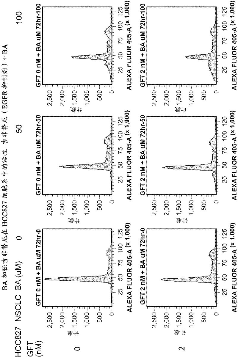 Treatment of lung cancer with a PARP inhibitor in combination with a growth factor inhibitor