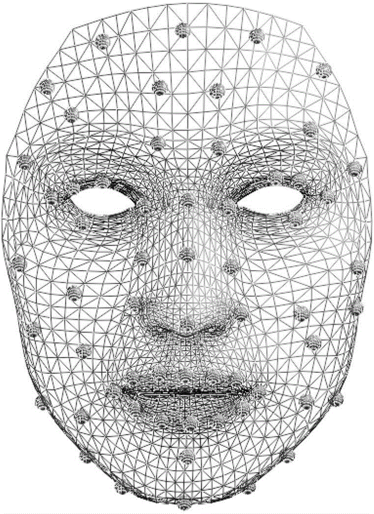 Facial expression synthetic method based on feature points