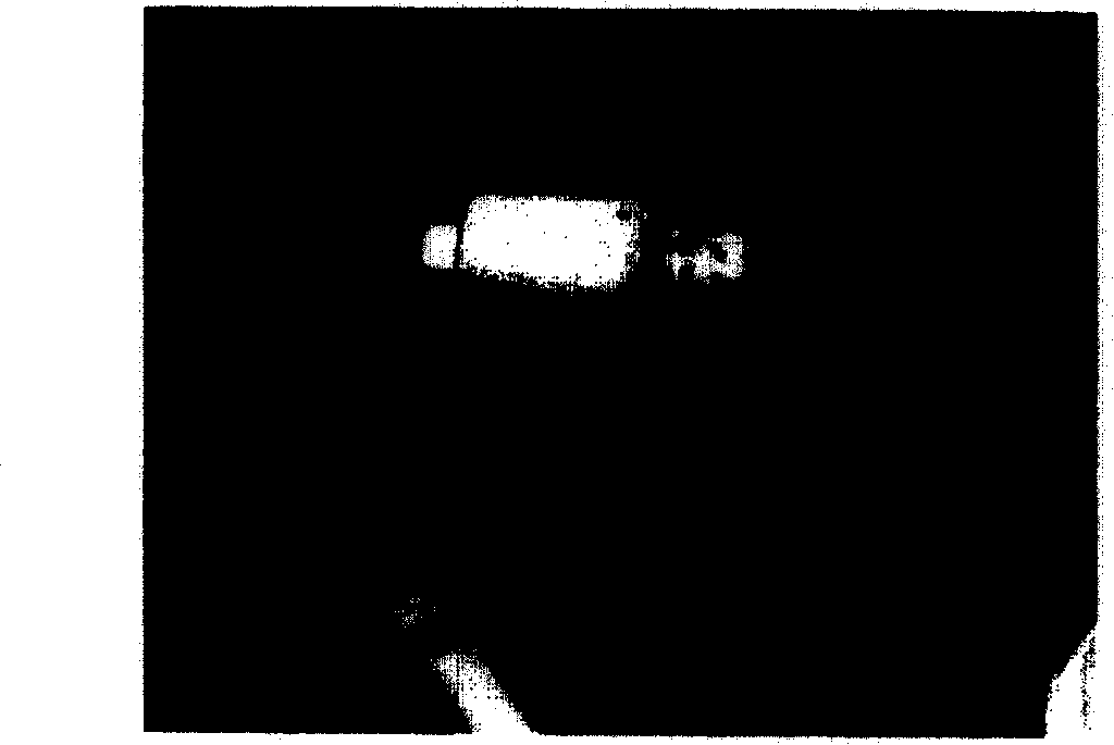 Method for measuring tree stem respiratory