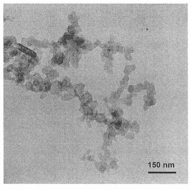 Method for preparing Mg nano particles under carbon source atmosphere