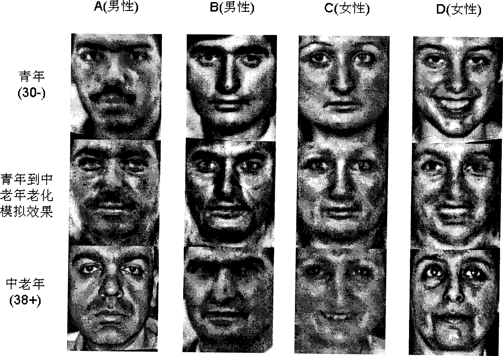 Human face aging analogue method based on face super-resolution process