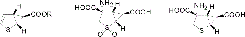 Method for synthesizing 2-thiabicyclo[3.1.0]-3-hexenyl-6-formate