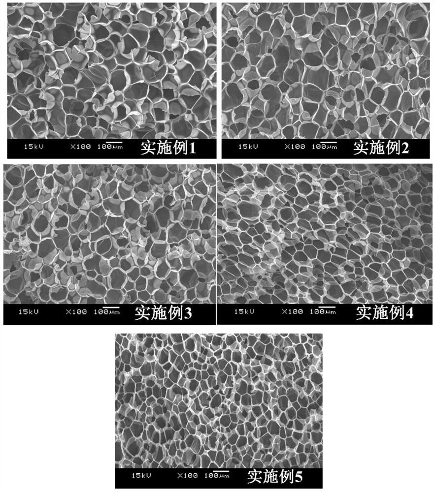 Raw material composition, EPE pearl wool material and preparation method thereof