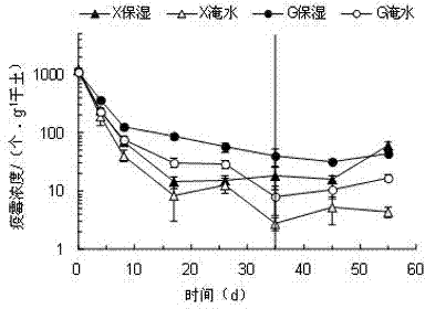 Method for enhancing soil waterflooding effect to control pepper phytophthora blight