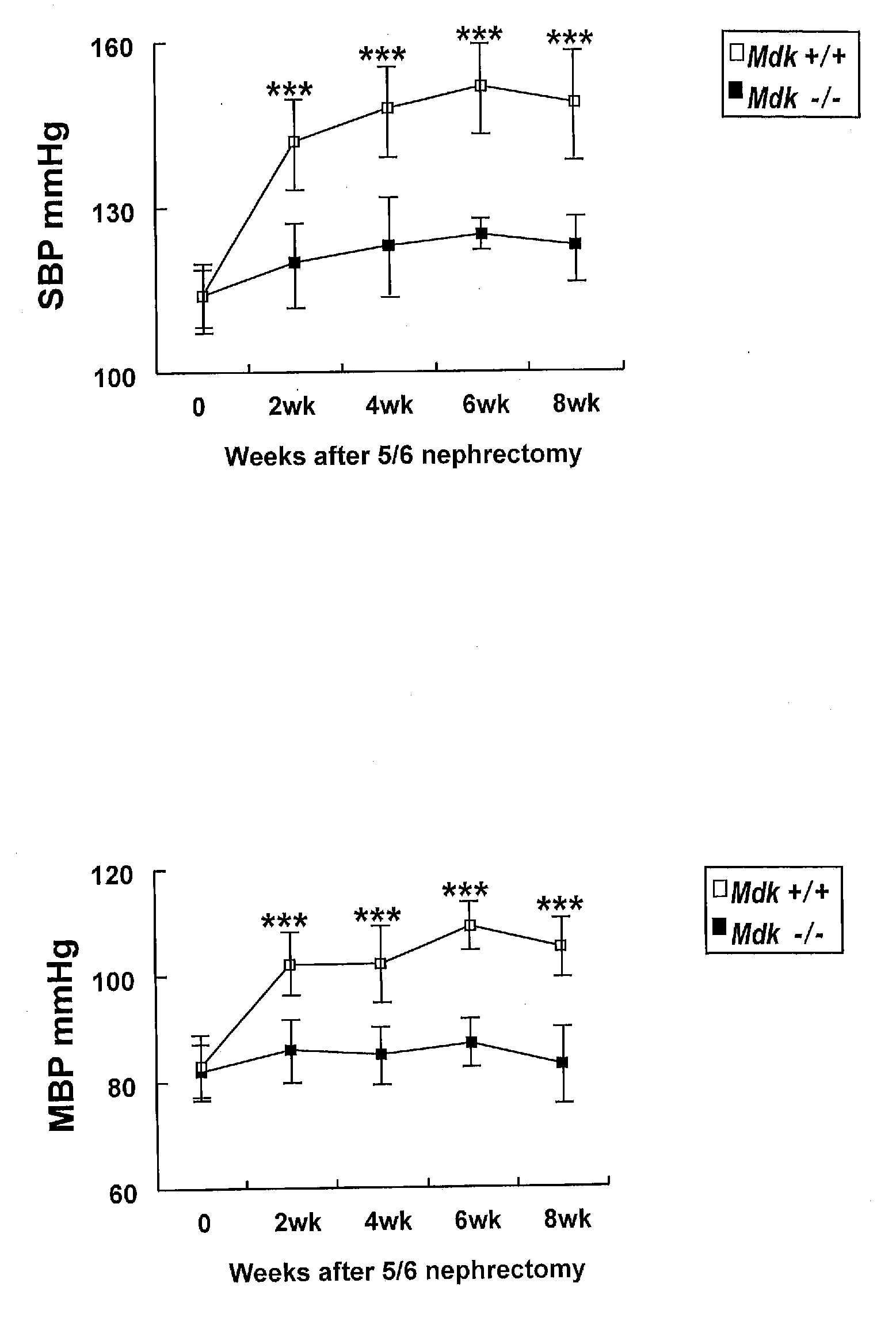 Therapeutic Method Targeting Midkine