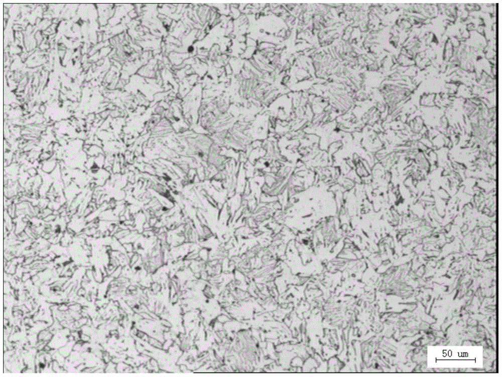 High-toughness boron-containing carbon structural steel sheet coil and production method thereof