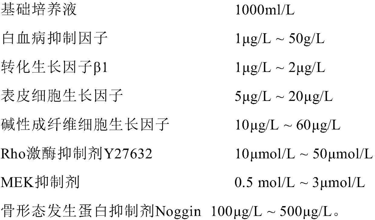 Composition for embryonic stem cell culture and application thereof