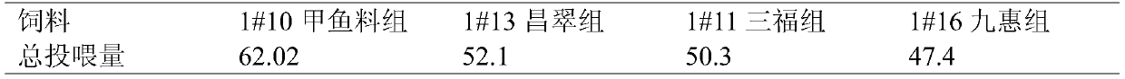 Directional cultivation method applied to ingot-grade blood parrot cichlid and application