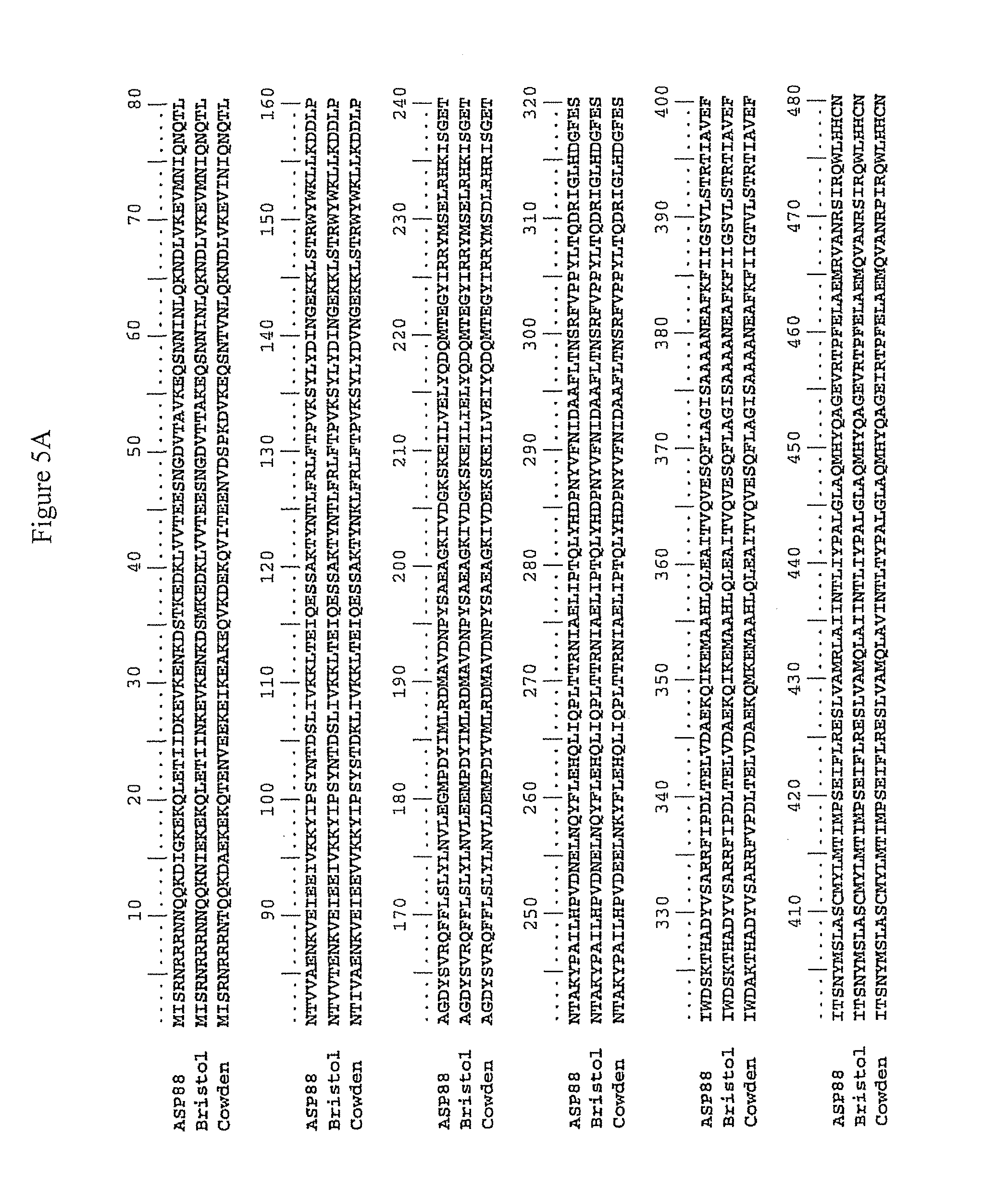Expression and assembly of human group C rotavirus-like particles and uses thereof