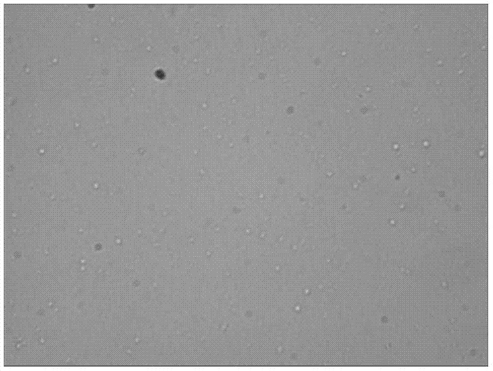 Preparation method of folic acid receptor-targeted ultrasound-enhanced nano-microbubbles