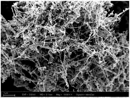 Carbon nanotube surface plating method