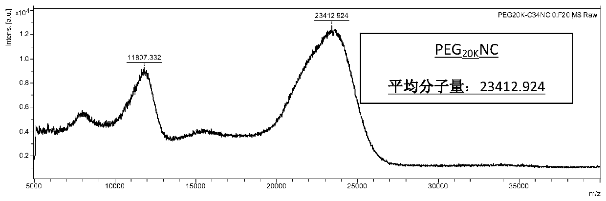 Anti-HIV polypeptide modified by high molecular weight PEG and preparation method and application thereof