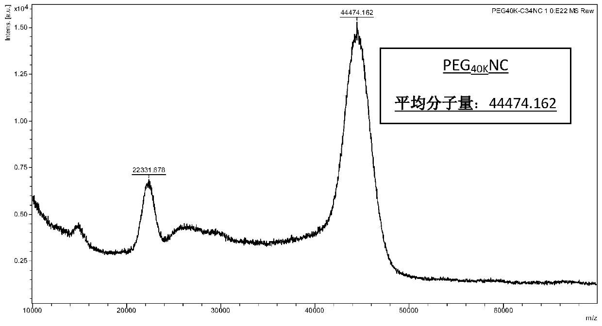 Anti-HIV polypeptide modified by high molecular weight PEG and preparation method and application thereof