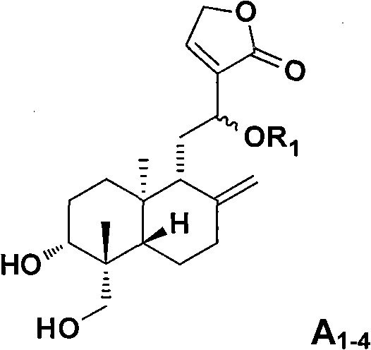 Applications of andrographolide derivatives in preparing anti-HIV medicines