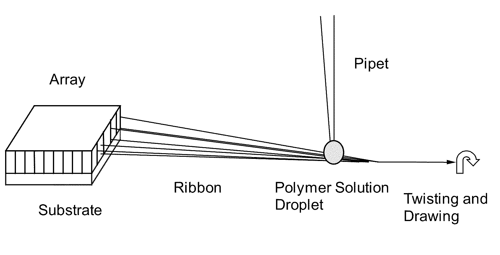 Carbon nanotube fiber spun from wetted ribbon