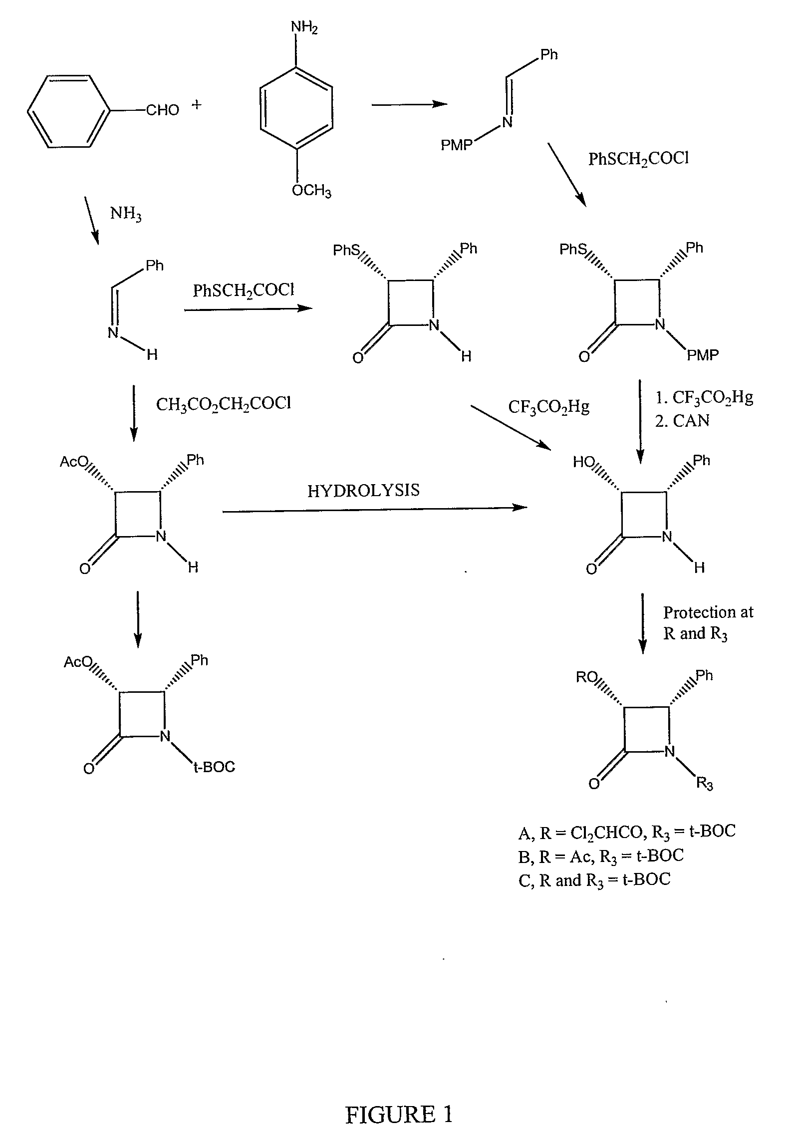Semi-Synthesis of Taxane Intermediates and Their Conversion to Paclitaxel and Docetaxel