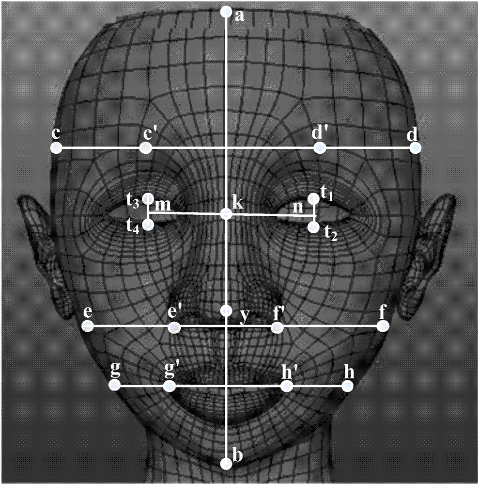 Human face shape classification method and system