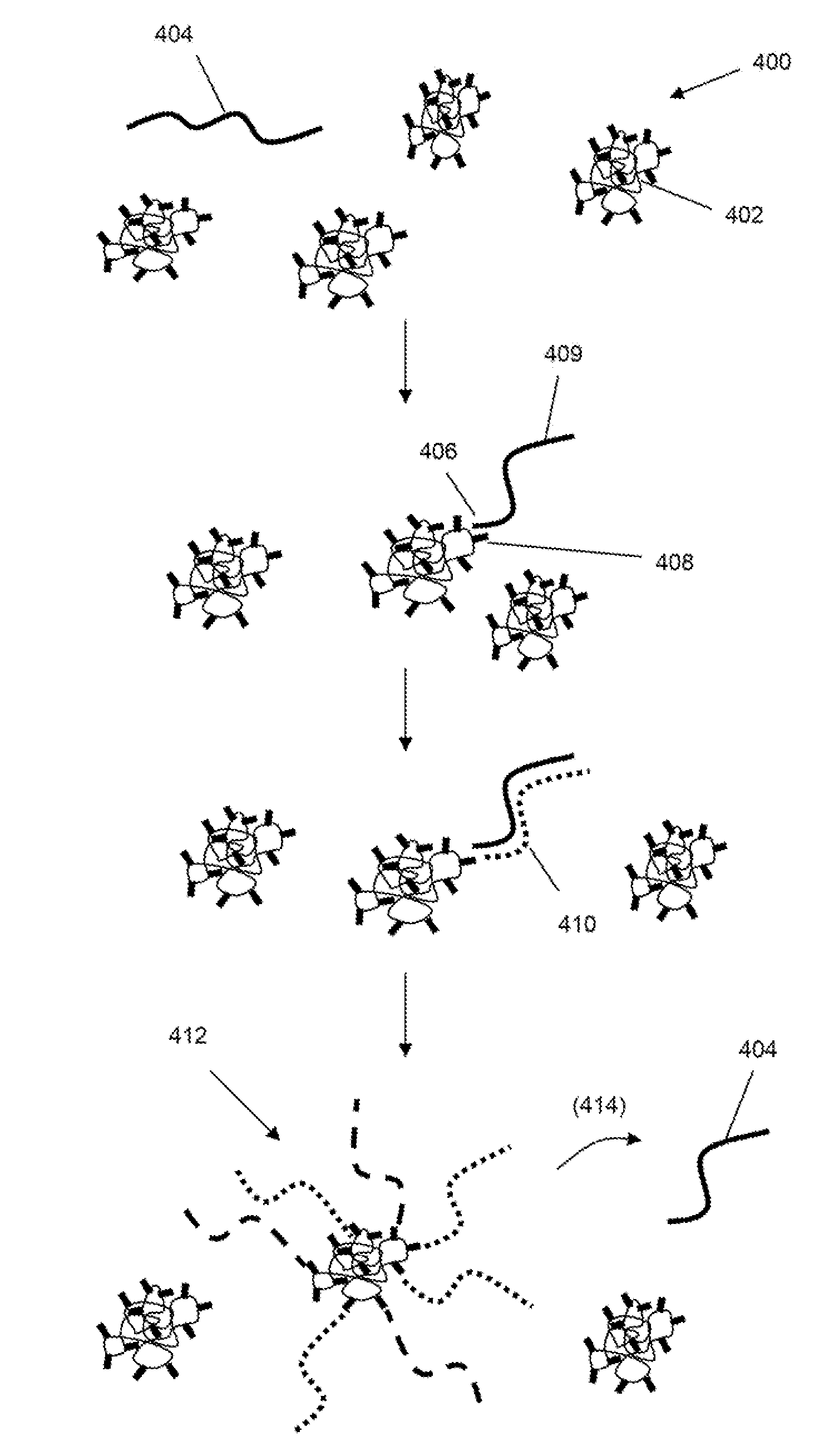 Scaffolded Nucleic Acid Polymer Particles and Methods of Making and Using
