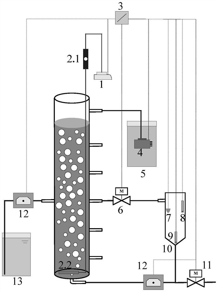 Reactor and method with sludge discharge device for enhanced stable operation of aerobic granular sludge