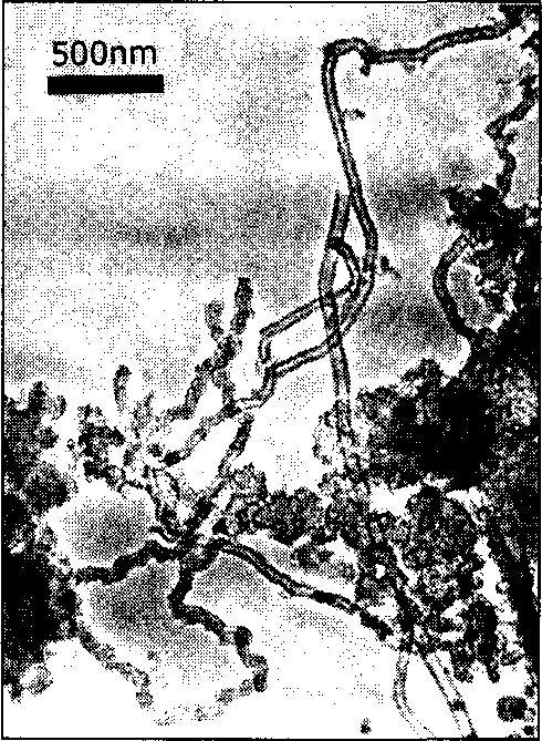 Preparation of carbon nanometer pipe material and its equipment