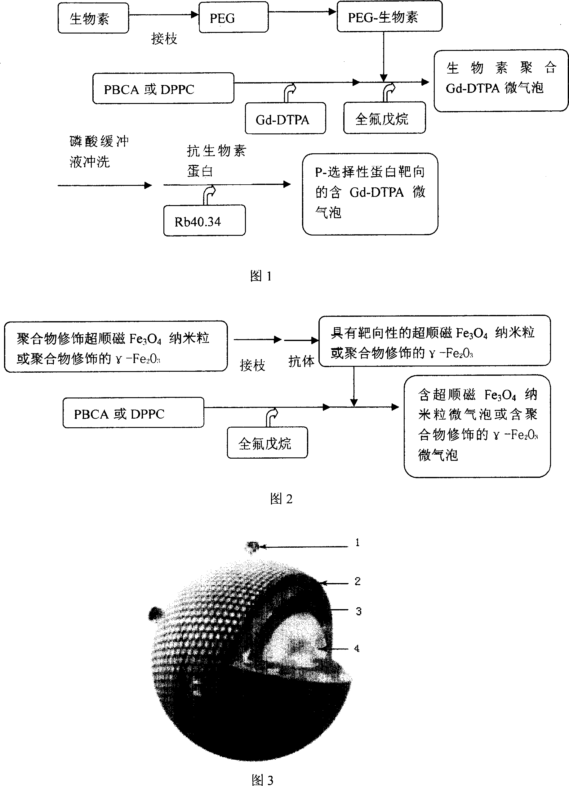 Ultrasound and MRI combined contrast medium and preparation method thereof