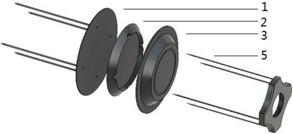 Muscle indwelling needle