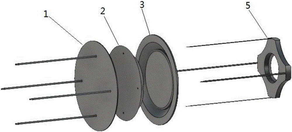 Muscle indwelling needle