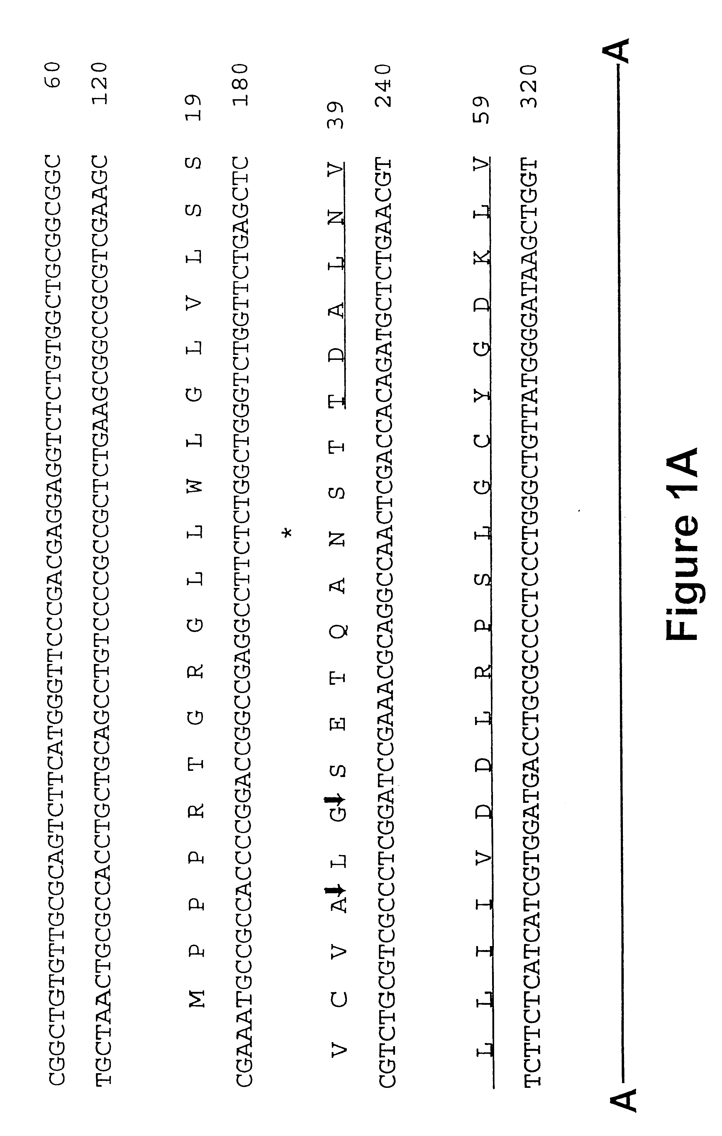 Glycosylation variants of iduronate 2-sulfatase