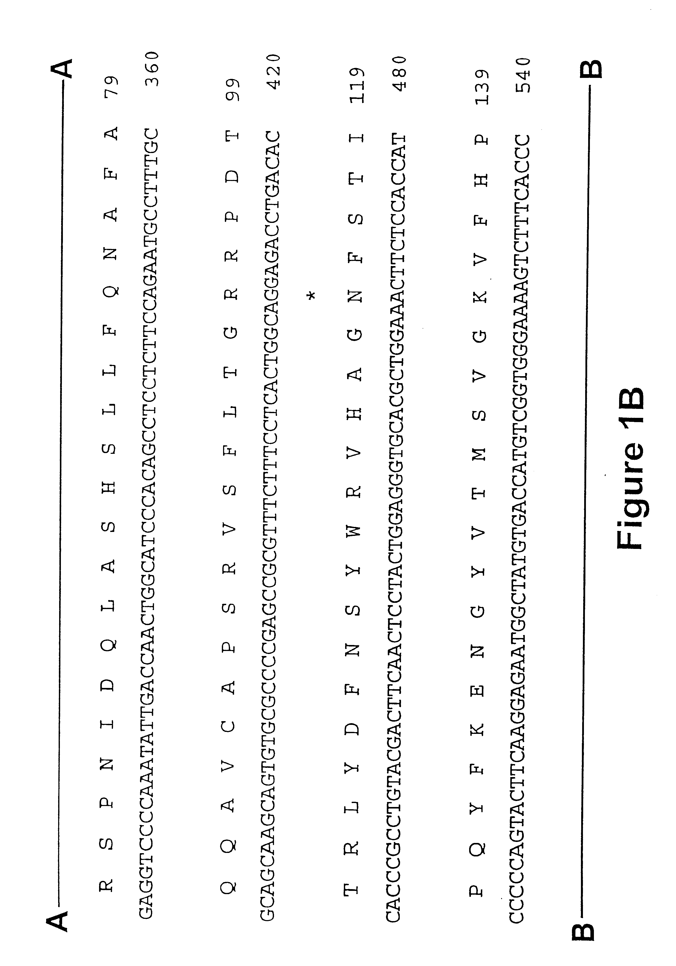 Glycosylation variants of iduronate 2-sulfatase