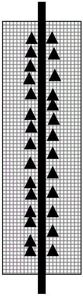 Method for constructing hull reef by means of mytilus coruscus