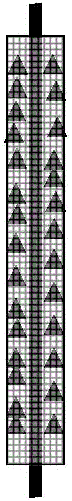 Method for constructing hull reef by means of mytilus coruscus