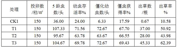 A kind of method for cultivating Cordyceps sinensis in origin area