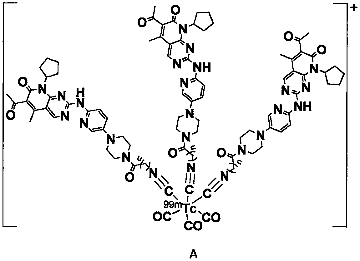 99mTc(CO)3 nucleus-labeled isonitrile-containing palbociclib derivative and preparation method and application thereof