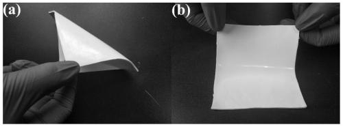 Method for preparing toughened large-size ultrathin YAG transparent ceramic biscuit based on Isobam gel system
