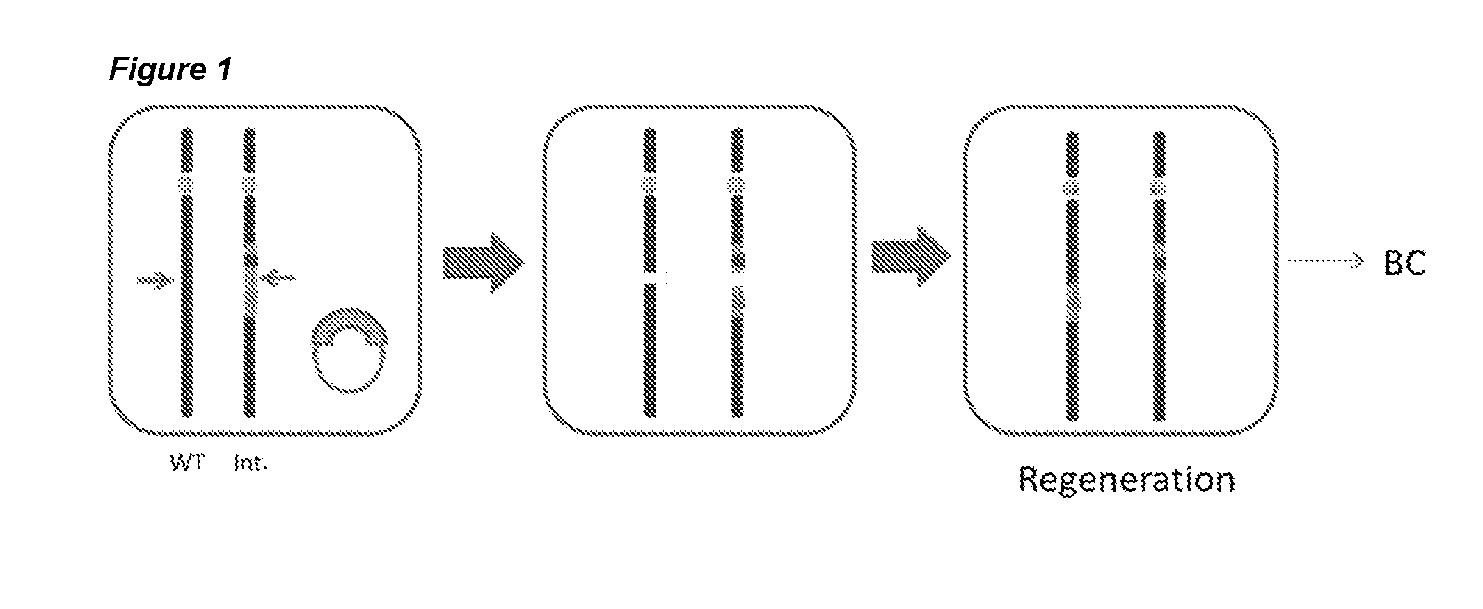 Method for removing genetic linkage in a plant