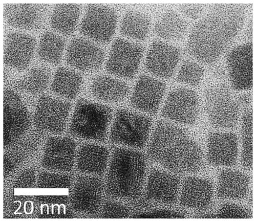 Double perovskite Cs2AgSbBr6 nanocrystal, synthesis and application thereof