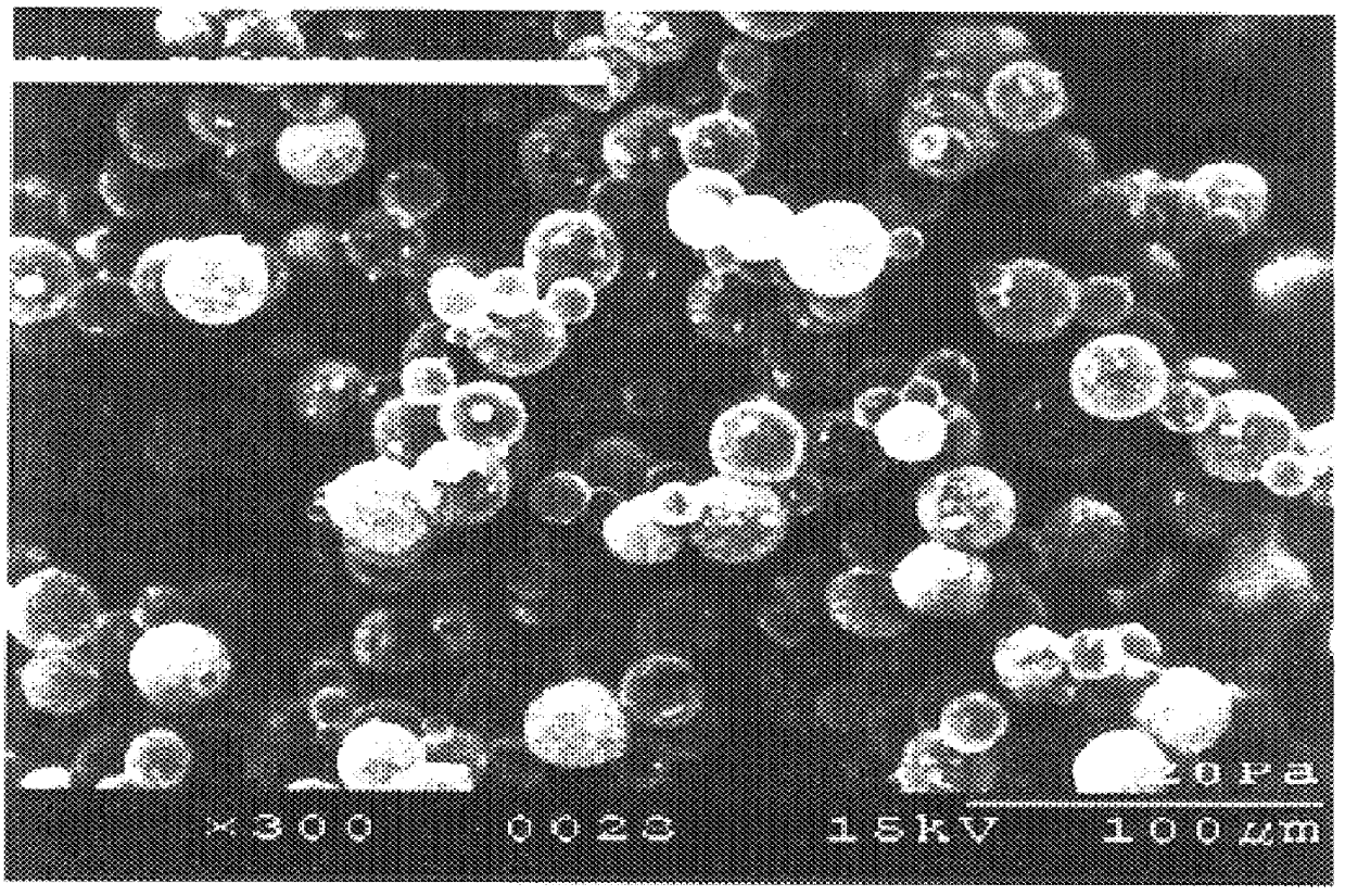 Expansion of polymeric microspheres insitu in a rigid PUR/PIR foam formulation using a twin screw extruder