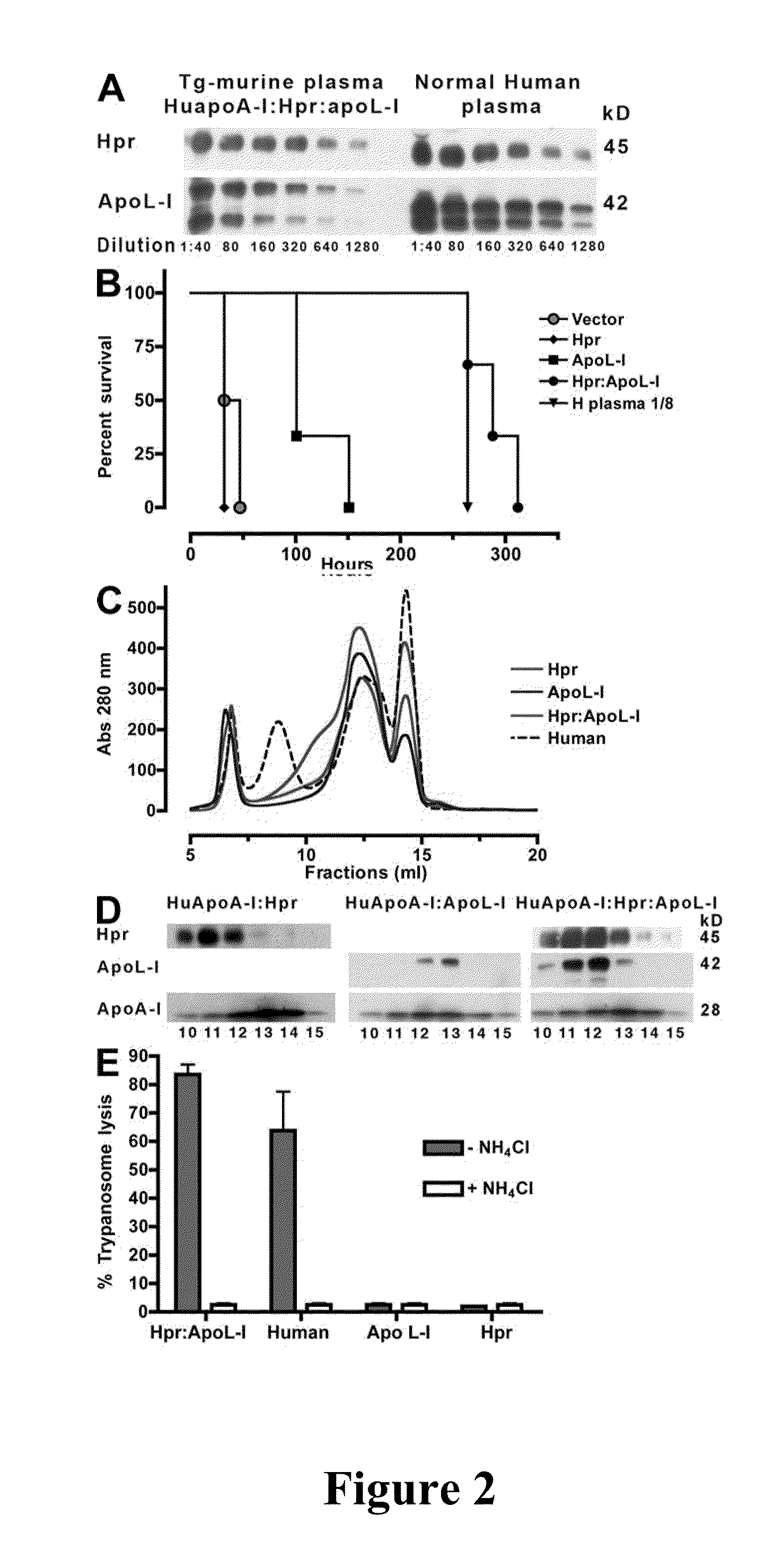 Trypanosome resistant non-human transgenic animal