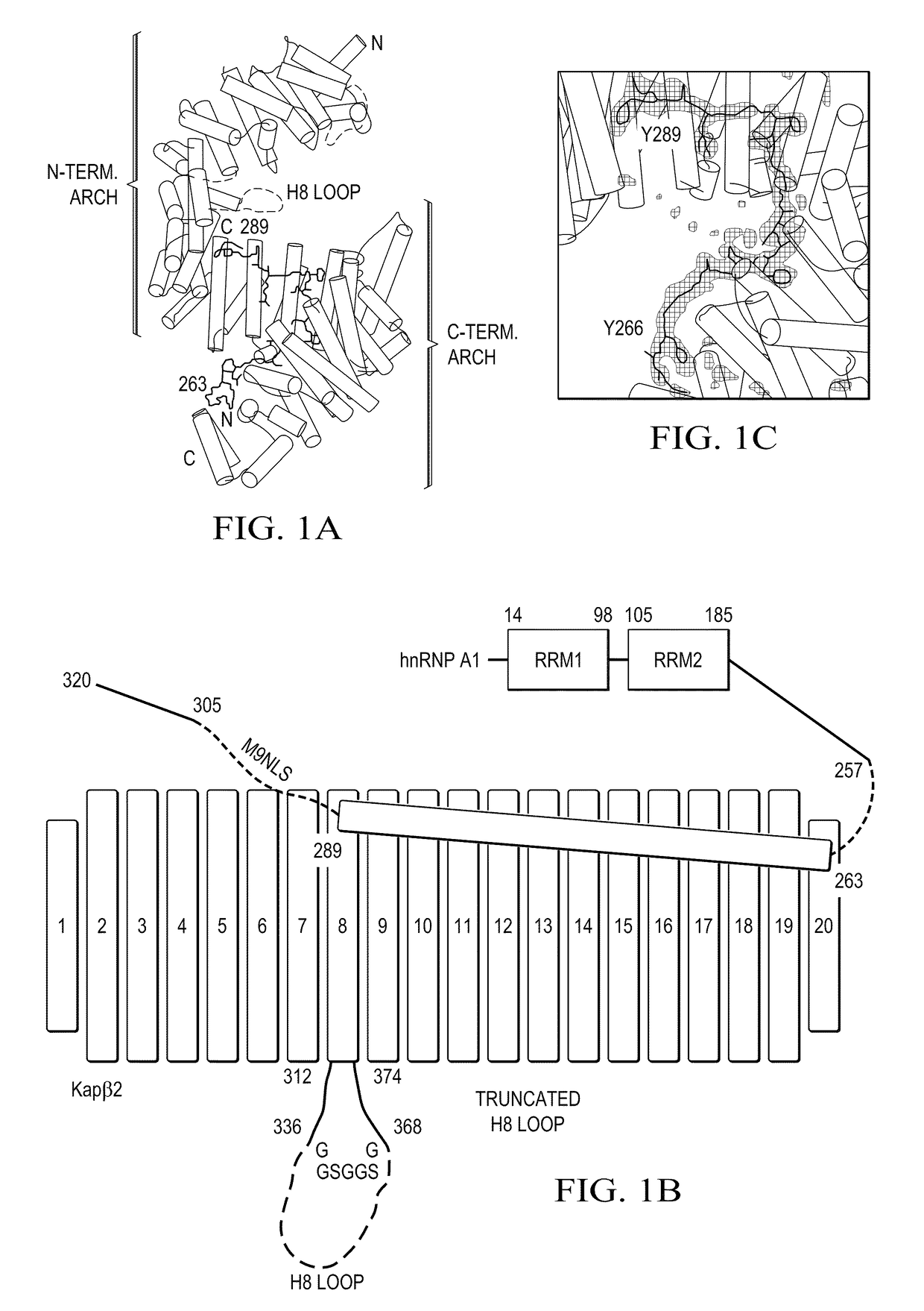 Methods and compositions for targeting macromolecules into the nucleus