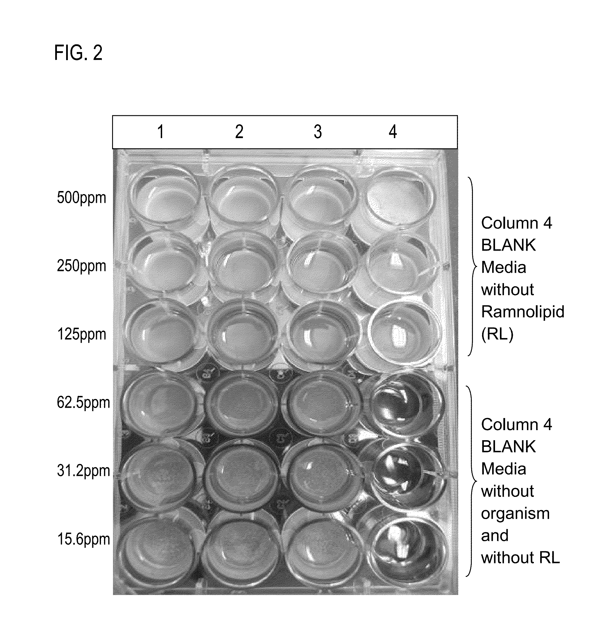 Aqueous coatings and paints incorporating one or more antimicrobial biosurfactants and methods for using same
