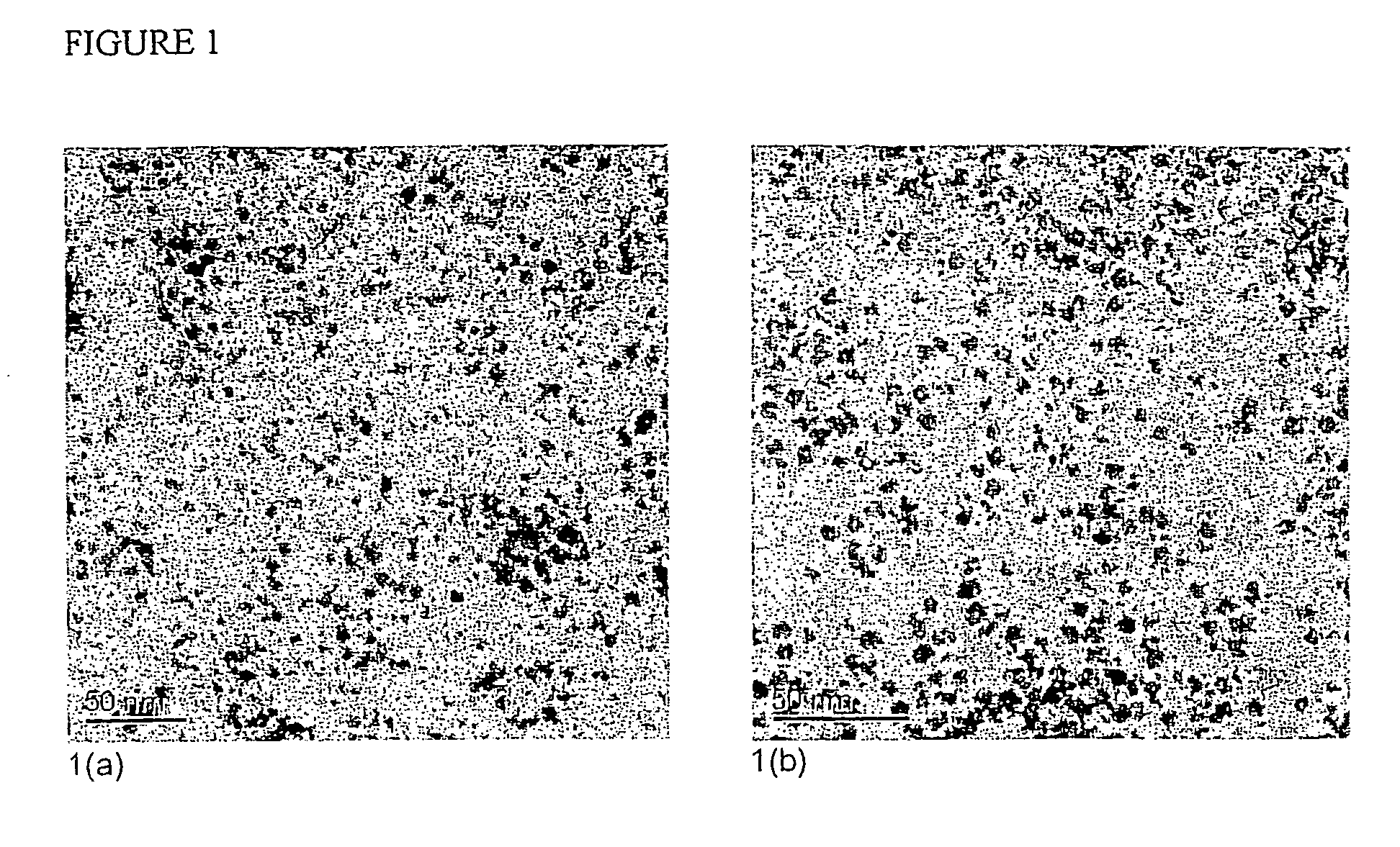 Magnetic nanoparticles and method of fabrication