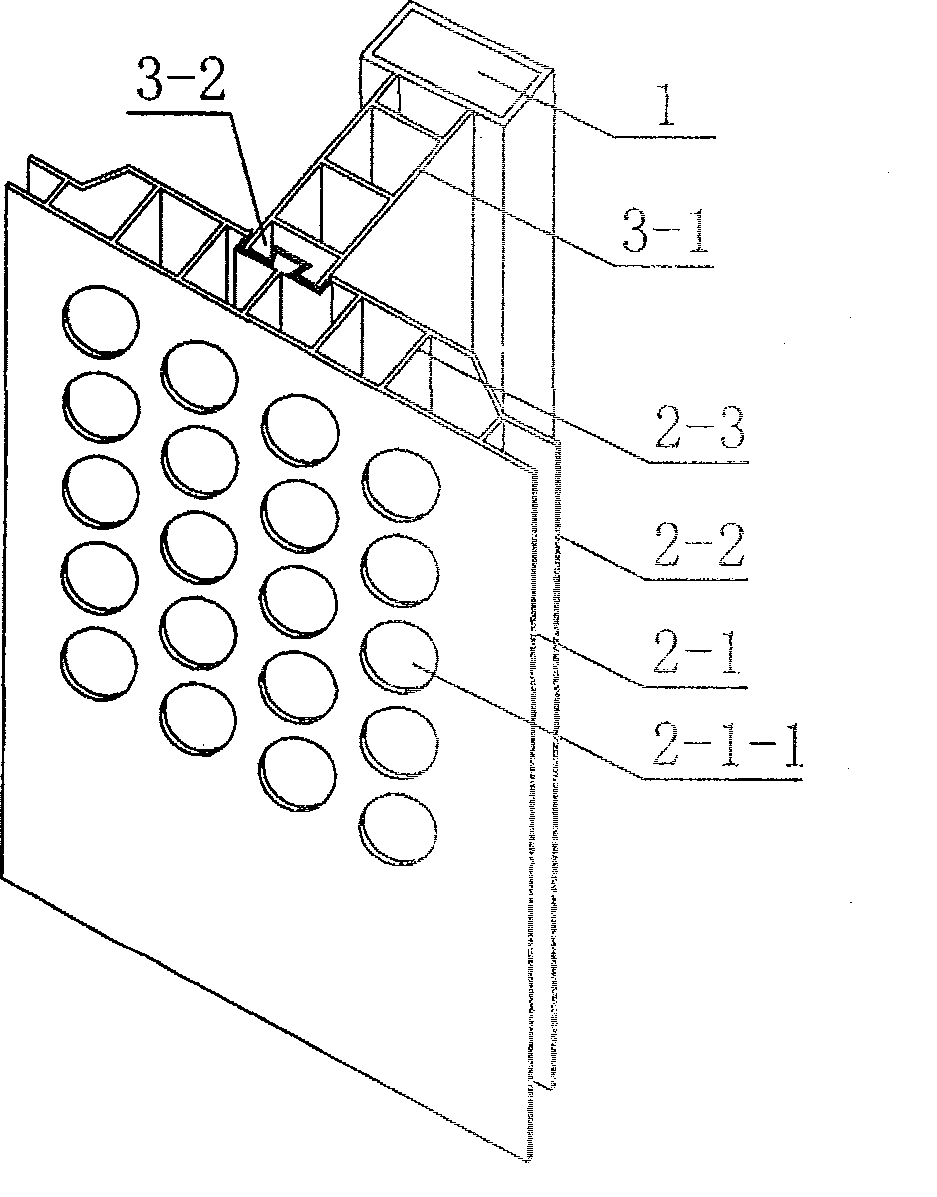 A hollow plastic T shape pile, and construction technique