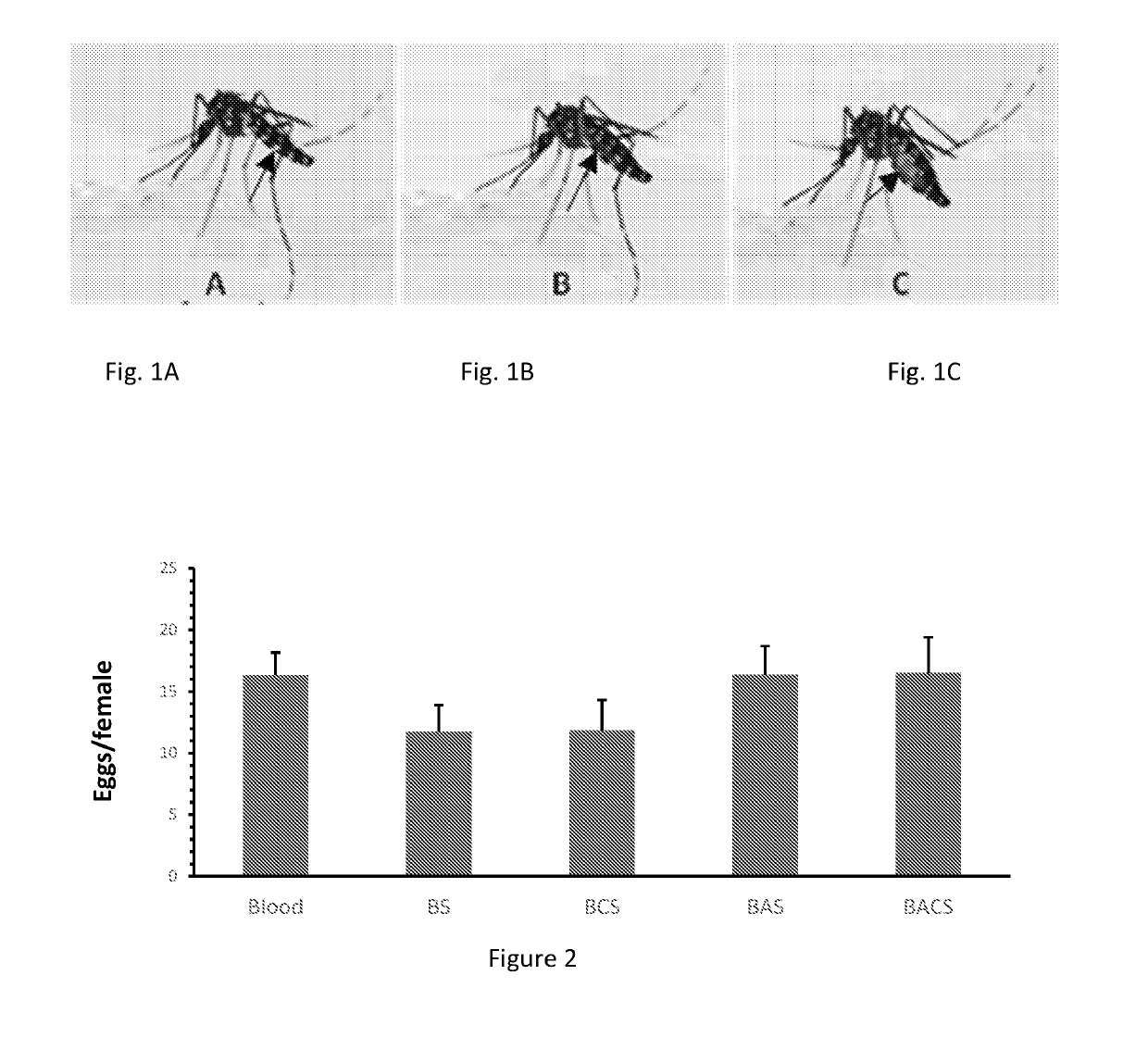 Non-membrane feeding device and diet formulation for mosquito colony production